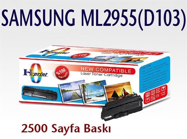 Samsung 2955-D103